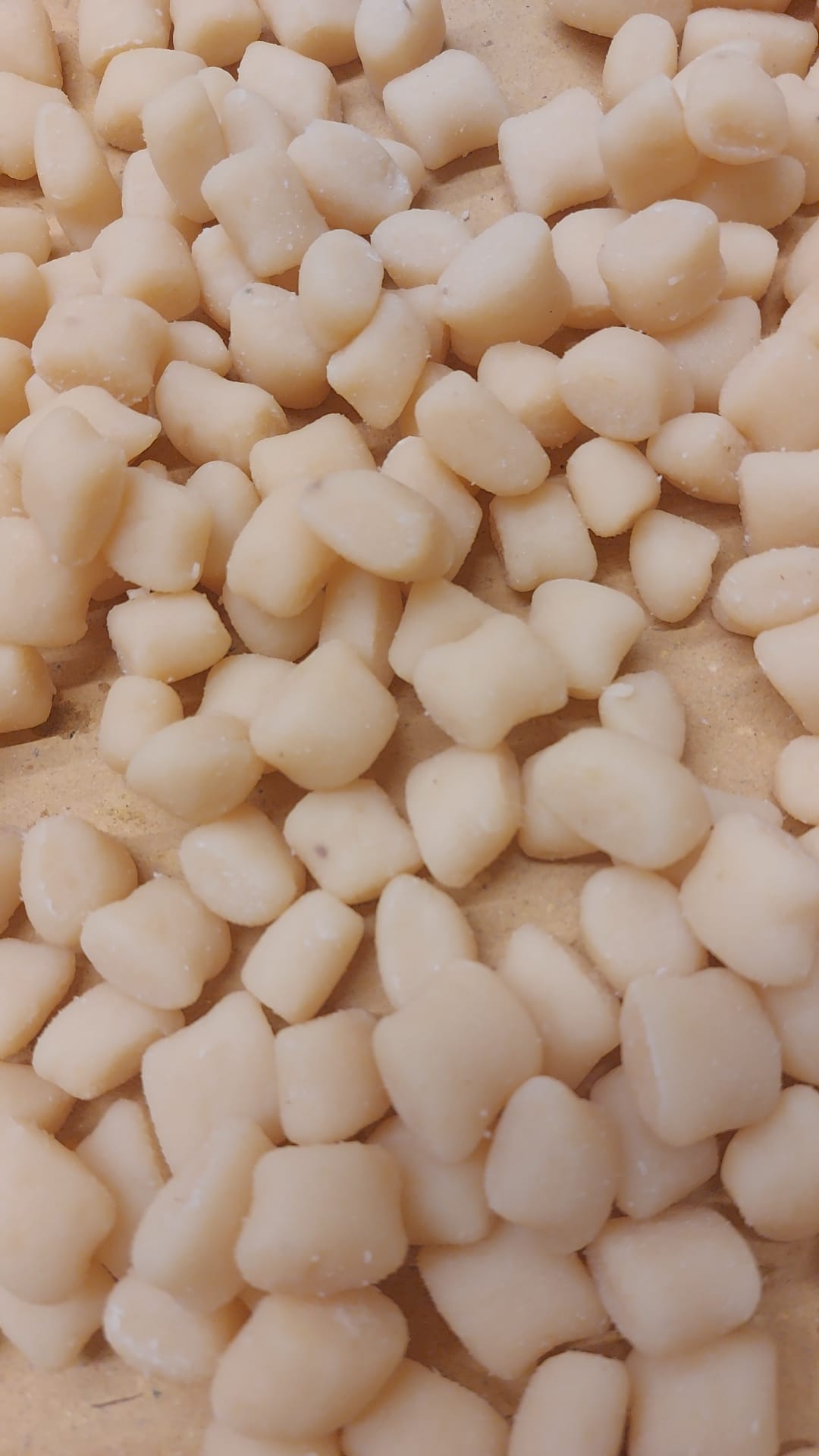 Pasta fresca
