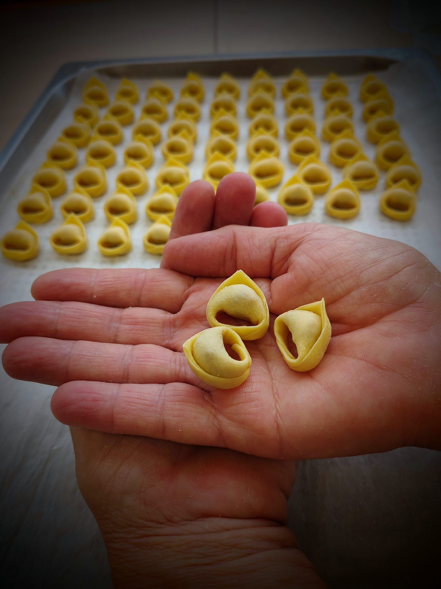 Preparazione pasta fresca